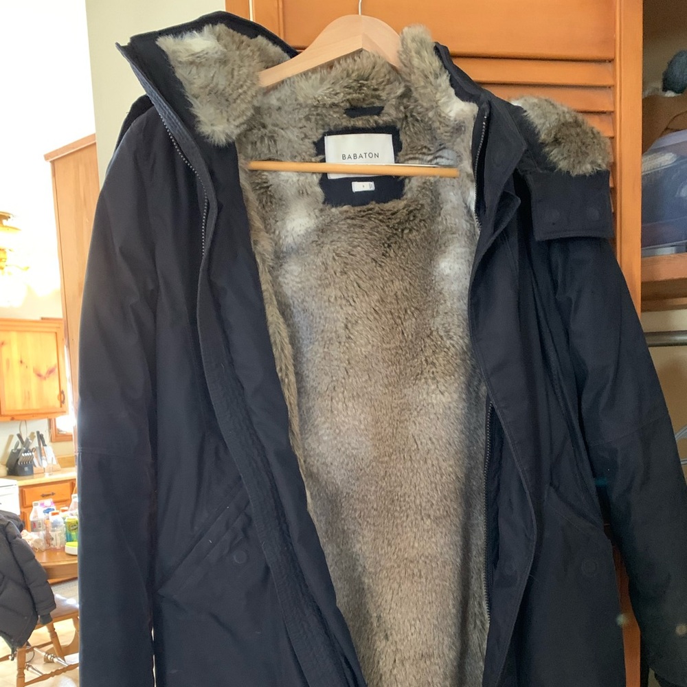 Babaton Long winter coat from aritzia
